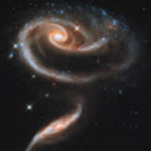 Meet your Posher, Kent